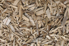biomass boilers Bardsley